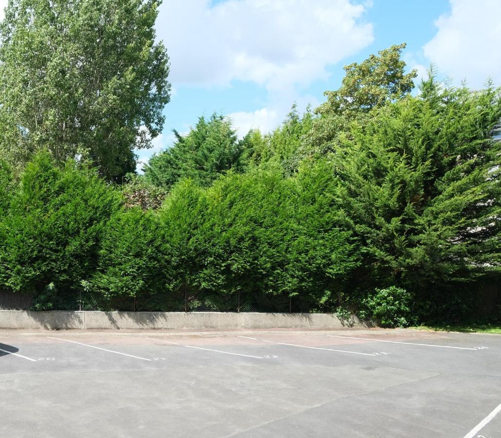 Apartment Le Jockey - Sipco Immobilier - Centre *